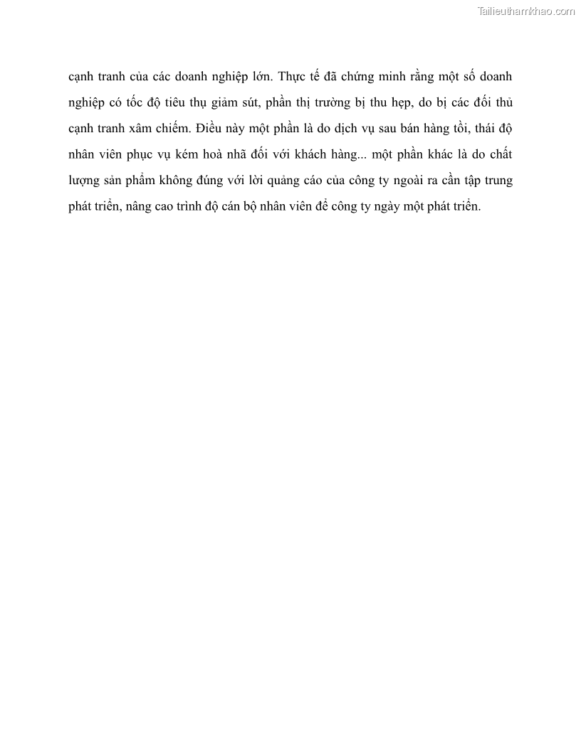 Khóa luận tốt nghiệp marketing Giải pháp mở rộng thị trường tiêu thụ sản phẩm tại công ty TNHH Thương mại dịch vụ tổng hợp Trường Hưng Thịnh - 6 Trang 71