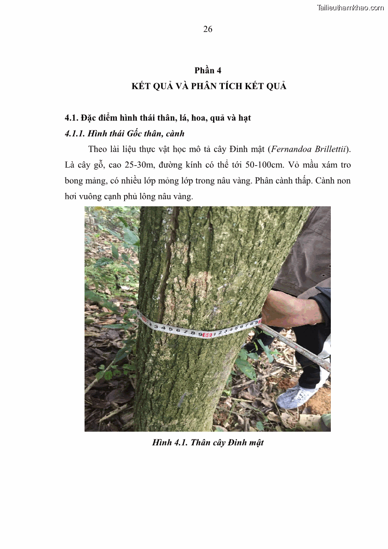 Khóa luận tốt nghiệp Nghiên cứu một số đặc điểm tái sinh tự nhiên lâm phần có loài cây Đinh mật Fernandoa brillettii Dop. Steenis phân bố tại xã Yên Lạc, Yên Trạch, tỉnh Thái Nguyên - 3 Trang 36