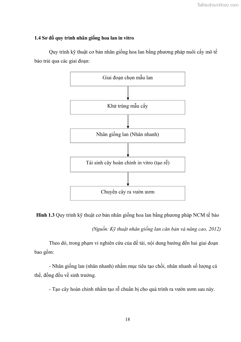 Khóa luận tốt nghiệp nông học Ảnh hưởng của BA, NAA và dịch chiết đến khả năng sinh trưởng của lan Cattleya Cattleya sp. in vitro - 3 Trang 28