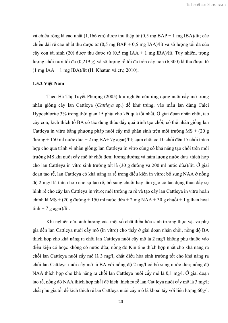 Khóa luận tốt nghiệp nông học Ảnh hưởng của BA, NAA và dịch chiết đến khả năng sinh trưởng của lan Cattleya Cattleya sp. in vitro - 3 Trang 30