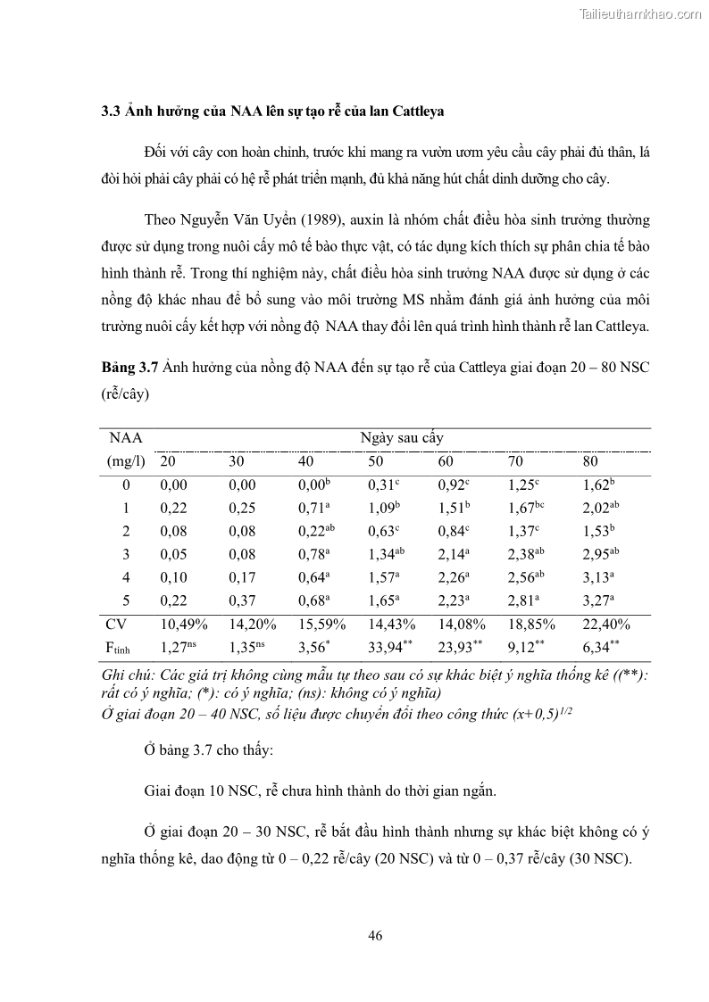 Khóa luận tốt nghiệp nông học Ảnh hưởng của BA, NAA và dịch chiết đến khả năng sinh trưởng của lan Cattleya Cattleya sp. in vitro - 5 Trang 56