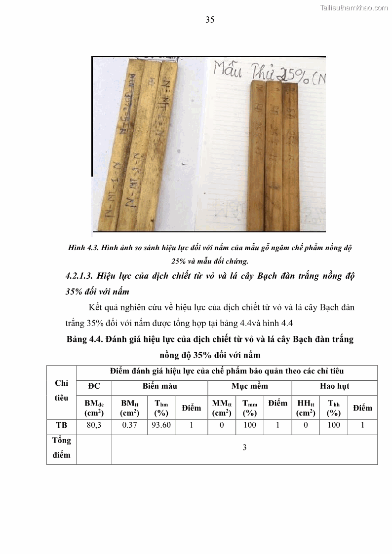Khóa luận tốt nghiệp nông lâm kết hợp Bước đầu nghiên cứu bảo quản gỗ thông từ vỏ và lá cây bạch đàn trắng Eucalyptus camadulensis Dehnh tại trường Đại Học Nông Lâm Thái Nguyên - 4 Trang 45