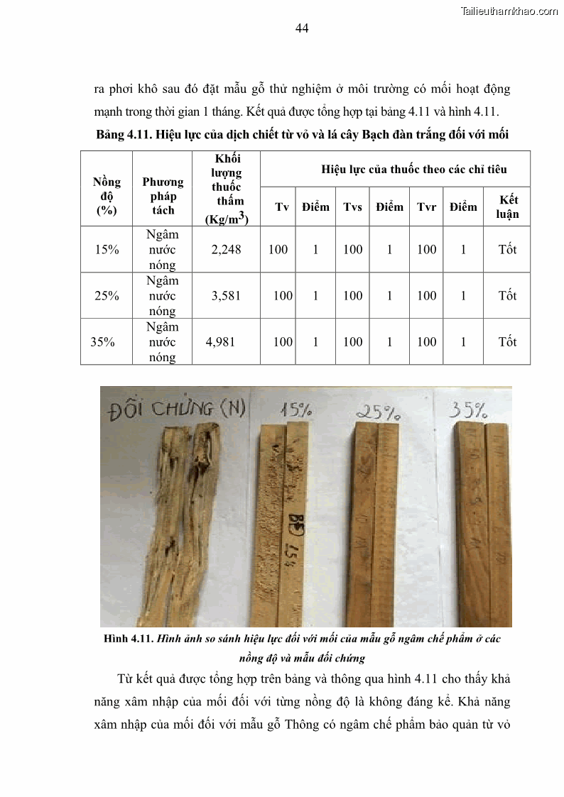 Khóa luận tốt nghiệp nông lâm kết hợp Bước đầu nghiên cứu bảo quản gỗ thông từ vỏ và lá cây bạch đàn trắng Eucalyptus camadulensis Dehnh tại trường Đại Học Nông Lâm Thái Nguyên - 5 Trang 54