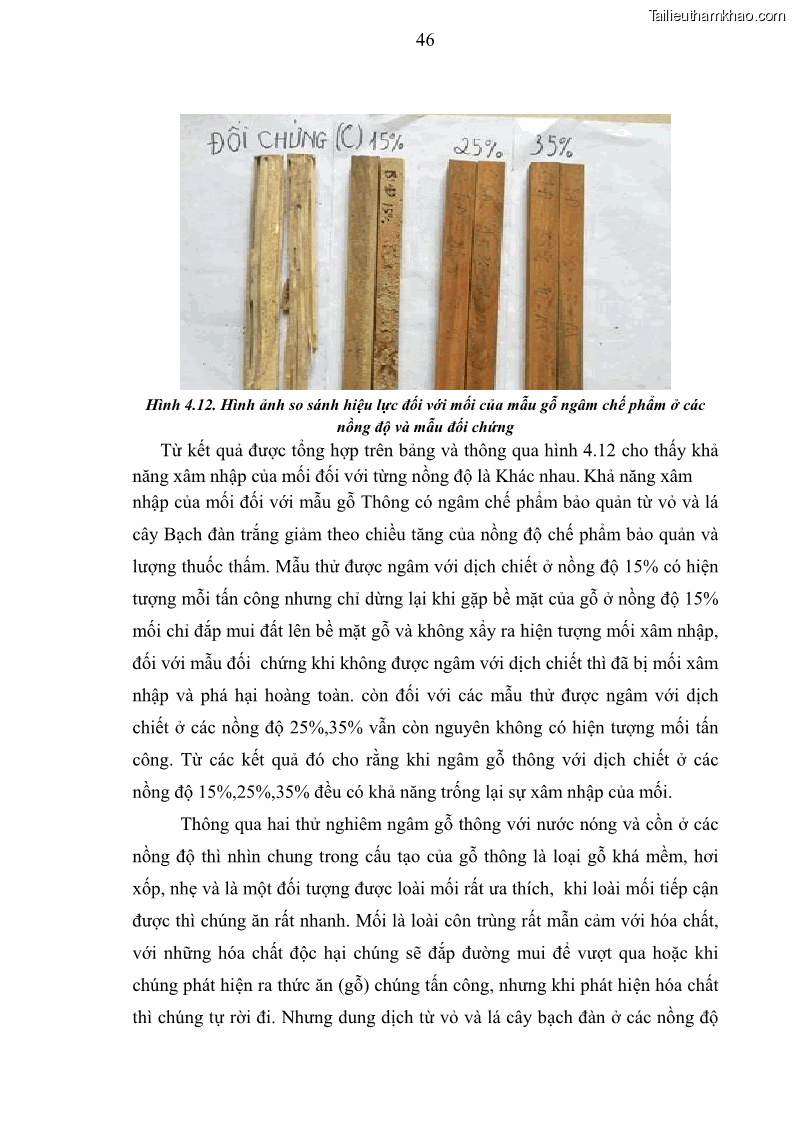 Khóa luận tốt nghiệp nông lâm kết hợp Bước đầu nghiên cứu bảo quản gỗ thông từ vỏ và lá cây bạch đàn trắng Eucalyptus camadulensis Dehnh tại trường Đại Học Nông Lâm Thái Nguyên - 5 Trang 56