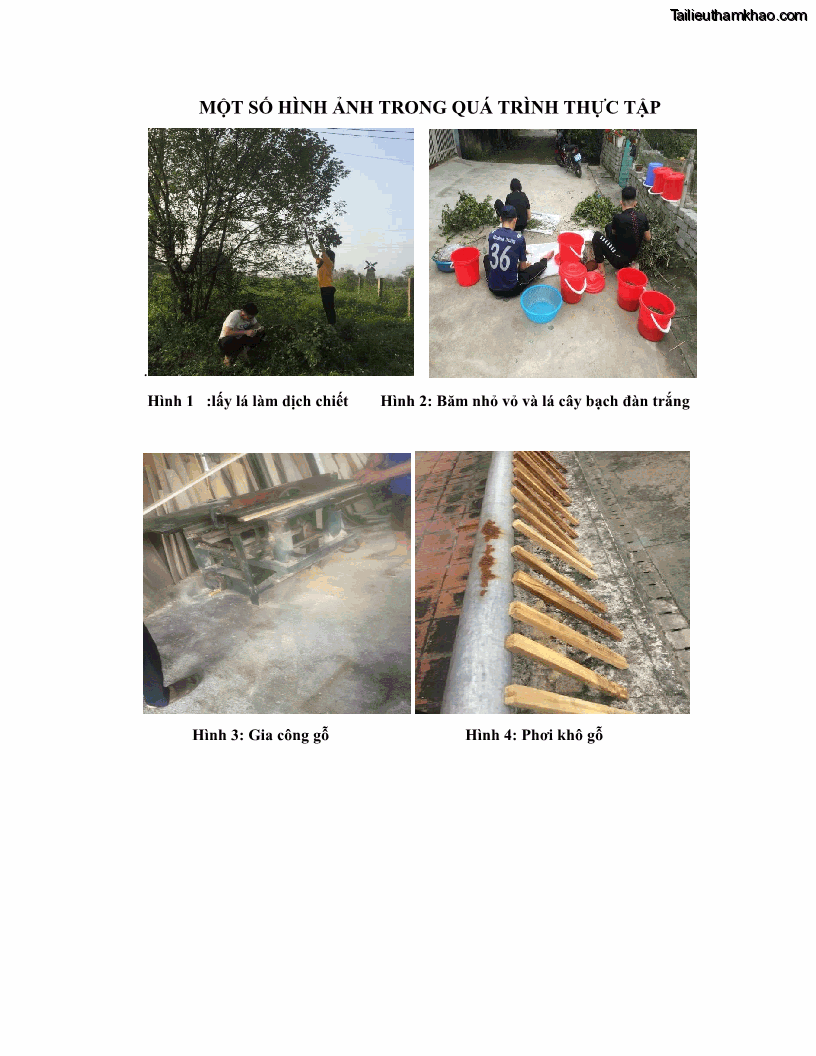 Khóa luận tốt nghiệp nông lâm kết hợp Bước đầu nghiên cứu bảo quản gỗ thông từ vỏ và lá cây bạch đàn trắng Eucalyptus camadulensis Dehnh tại trường Đại Học Nông Lâm Thái Nguyên - 7 Trang 79