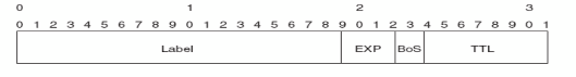 Hình 2 5 Chỉ ra cấu trúc của một nhãn MPLS Trong đó EXP Experimental 3 bit 5