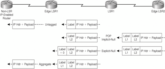 Hình 2 7 Các loại nhãn đặc biệt 2 3 2 3 Ngăn xếp nhãn Những bộ định tuyến 6