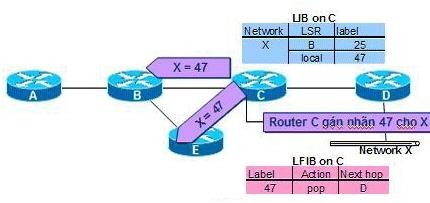 Hình 2 19 Quá trình phân phối nhãn của router C Cùng lúc đó router C hình thành 2 6