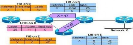 Hình 2 20 Quá trình tạo bảng LFIB Như vậy ta đã có được đường đi từ biên 7