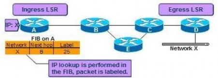 Hình 2 21 Quá trình kiểm gán nhãn tại ingress LSR Gói tin với nhãn 25 được 8