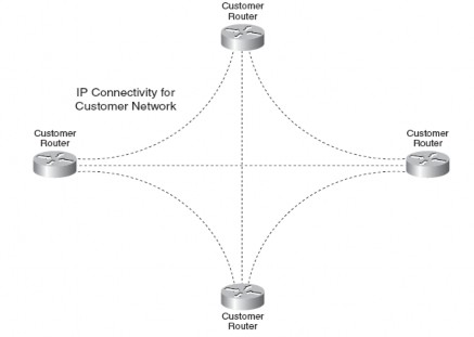 Hình 3 2 Mạng Overlay Customer Routing Peering Phần lớn những đường hầm tunnel 2
