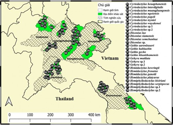 Hình 3 36 Sơ đồ phân bố các loài tắc kè ở KVNC So sánh chỉ số Sorensen Dice 3
