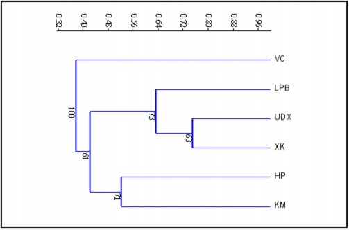 Hình 3 37 Phân tích tập hợp nhóm về sự tương đồng thành phần loài giữa các 4