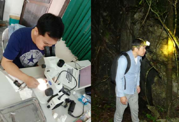 7 Hinh ảnh Điều tra thực địa và đo đếm mẫu ở phòng thí nghiệm 8 Hình 11