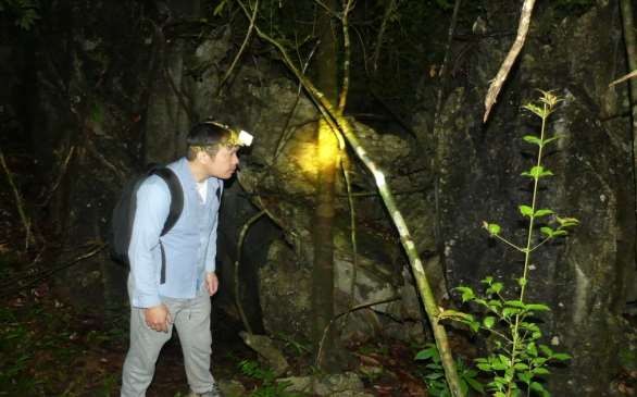 2 Điều tra thực địa 3 Đo đếm mẫu vật trên phòng thí nghiệm 4 Các mẫu 3