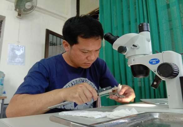 3 Đo đếm mẫu vật trên phòng thí nghiệm 4 Các mẫu vật được thu và lưu dữ 4