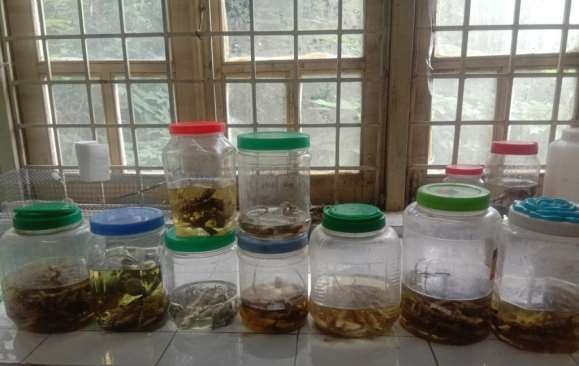 4 Các mẫu vật được thu và lưu dữ ở phòng thie nghiệm 5 Các mẫu vật tắc 6