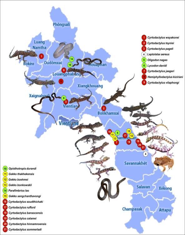Hình 1 4 Bản đồ thể hiện các loài được mô tả tại Lào từ 2010 đến 2016 2