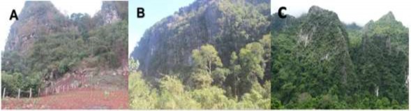 Hình 2 4 Các dạng sinh cảnh A SC1 B SC2 C SC3 2 Phân bố theo đai độ cao 2