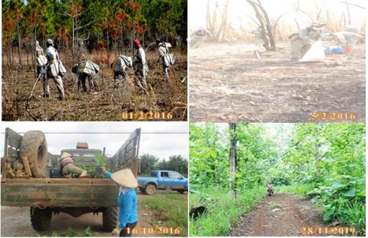 Hình 3 3 Hình ảnh trồng cây gây rừng ở khu vực Vườn Quốc gia Nam Ka Đinh iv 2