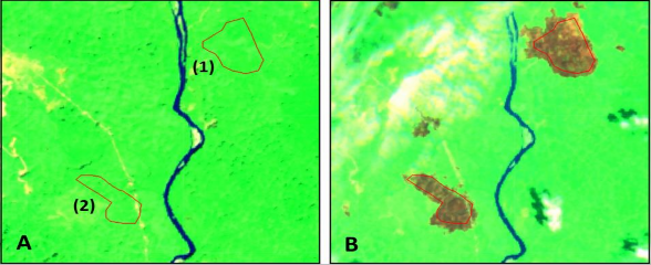 Hình 3 4 Các vùng mẫu mất rừng tại vị trí 1 XY 353204 2061092 2 XY 1