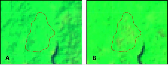Hình 3 5 Các vùng mẫu suy thoái rừng tại vị trí XY 491062 1988120 Ảnh tổ 2