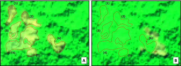 Hình 3 9 Các vùng mẫu thêm rừng mới tại các vị trí 1 XY 400159 2058855 1