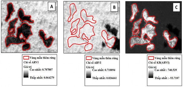 Hình 3 10 Ảnh chỉ số ARVI tại các ví dụ vùng mẫu khi chưa có rừng A sau khi 2