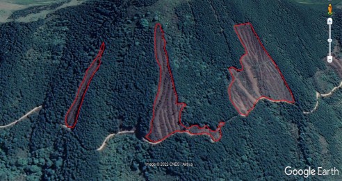 Hình 3 19 Cập nhật thông tin cho các điểm mất rừng suy thoái rừng và khu vực 3