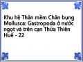 Khu hệ Thân mềm Chân bụng Mollusca: Gastropoda ở nước ngọt và trên cạn Thừa Thiên Huế - 22