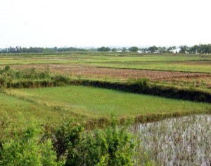 Hình I 1 Sinh cảnh ruộng Hình II 2 Sinh cảnh ao Hình I 3 Sinh cảnh sông Hình I 4 1