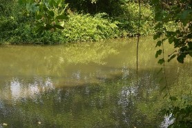 Hình I 1 Sinh cảnh ruộng Hình II 2 Sinh cảnh ao Hình I 3 Sinh cảnh sông Hình I 4 2