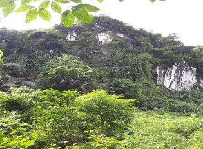 Hình I 5 Sinh cảnh rừng trên nền đá vôi Hình I 6 Sinh cảnh rừng trên nền đá 5