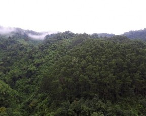 Hình I 6 Sinh cảnh rừng trên nền đá granit Hình I 7 Sinh cảnh đất canh tác 8