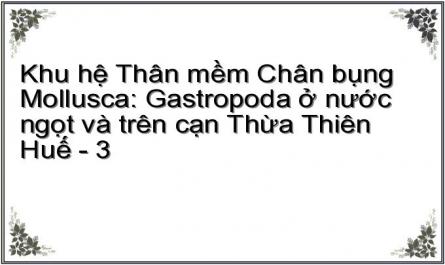 Tình Hình Nghiên Cứu Lớp Chân Bụng Ở Nước Ngọt Và Trên Cạn Tại Việt Nam Và Các Nước Lân