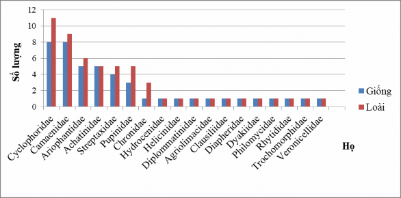Hình 3 5 Số lượng giống và loài của các họ Chân bụng ở cạn tại Thừa 1
