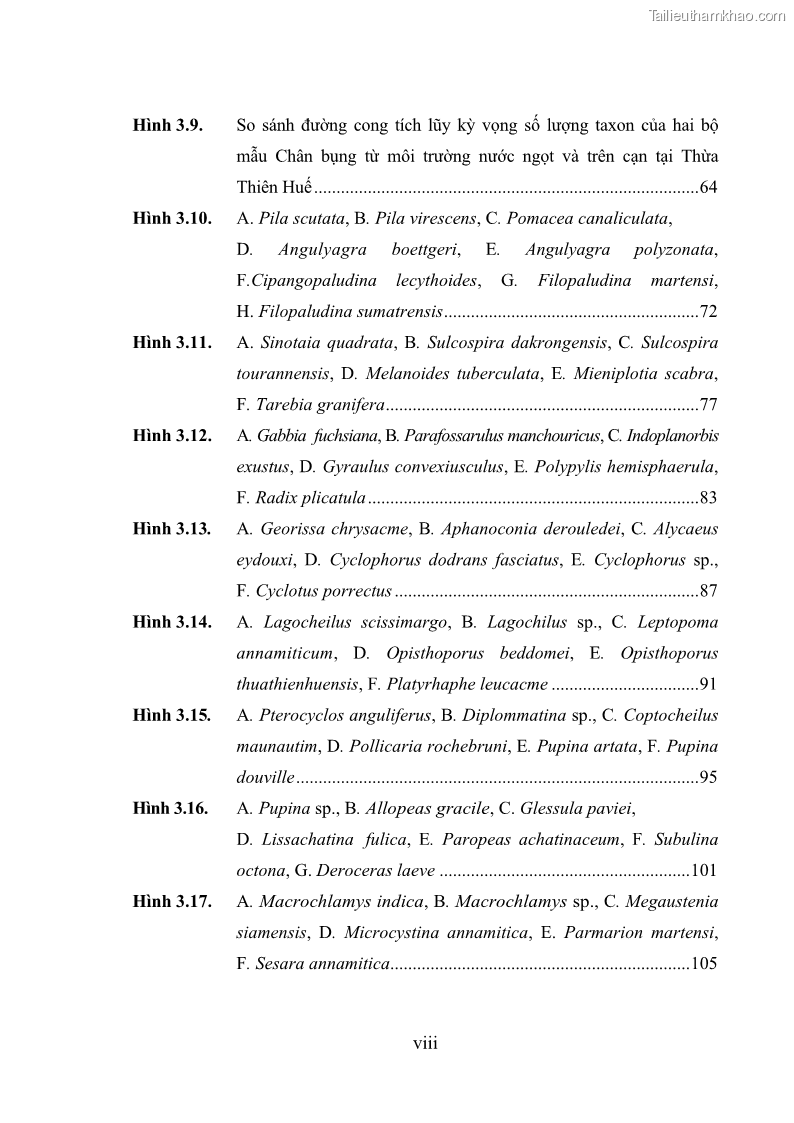 Luận án tiến sĩ sinh học Khu hệ Thân mềm Chân bụng Mollusca: Gastropoda ở nước ngọt và trên cạn Thừa Thiên Huế - 1 Trang 12
