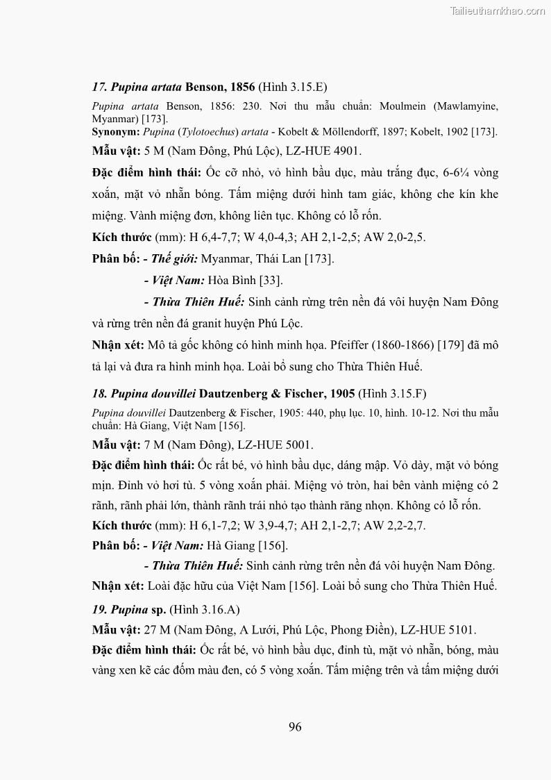 Luận án tiến sĩ sinh học Khu hệ Thân mềm Chân bụng Mollusca: Gastropoda ở nước ngọt và trên cạn Thừa Thiên Huế - 10 Trang 109