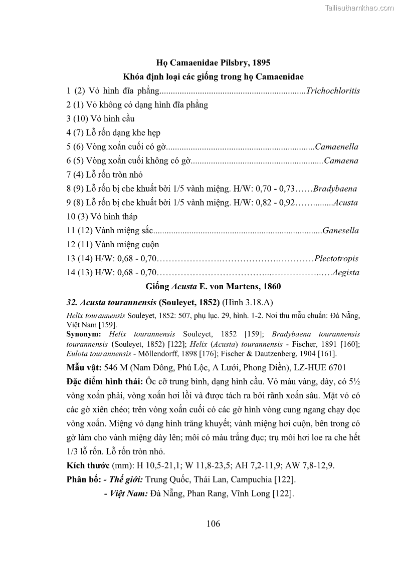 Luận án tiến sĩ sinh học Khu hệ Thân mềm Chân bụng Mollusca: Gastropoda ở nước ngọt và trên cạn Thừa Thiên Huế - 10 Trang 119