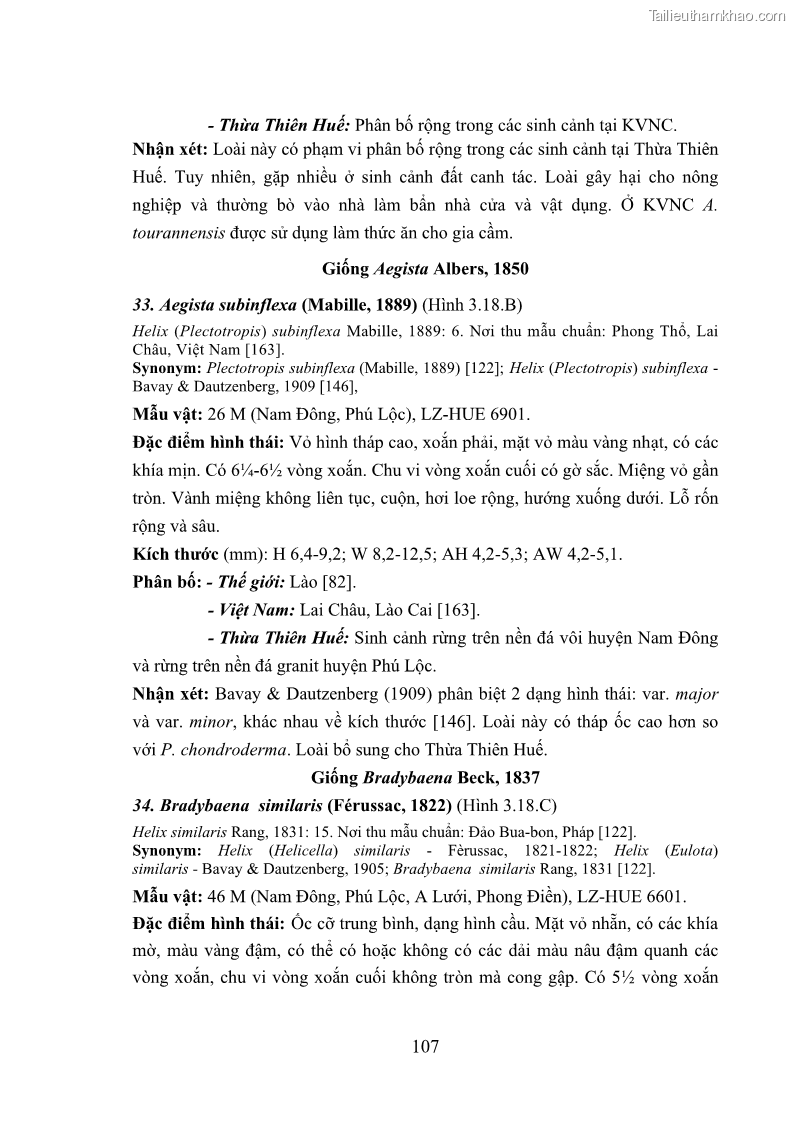 Luận án tiến sĩ sinh học Khu hệ Thân mềm Chân bụng Mollusca: Gastropoda ở nước ngọt và trên cạn Thừa Thiên Huế - 10 Trang 120