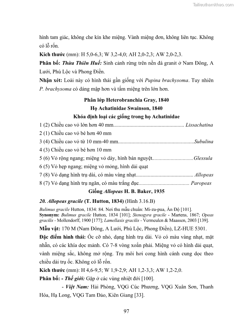 Luận án tiến sĩ sinh học Khu hệ Thân mềm Chân bụng Mollusca: Gastropoda ở nước ngọt và trên cạn Thừa Thiên Huế - 10 Trang 110