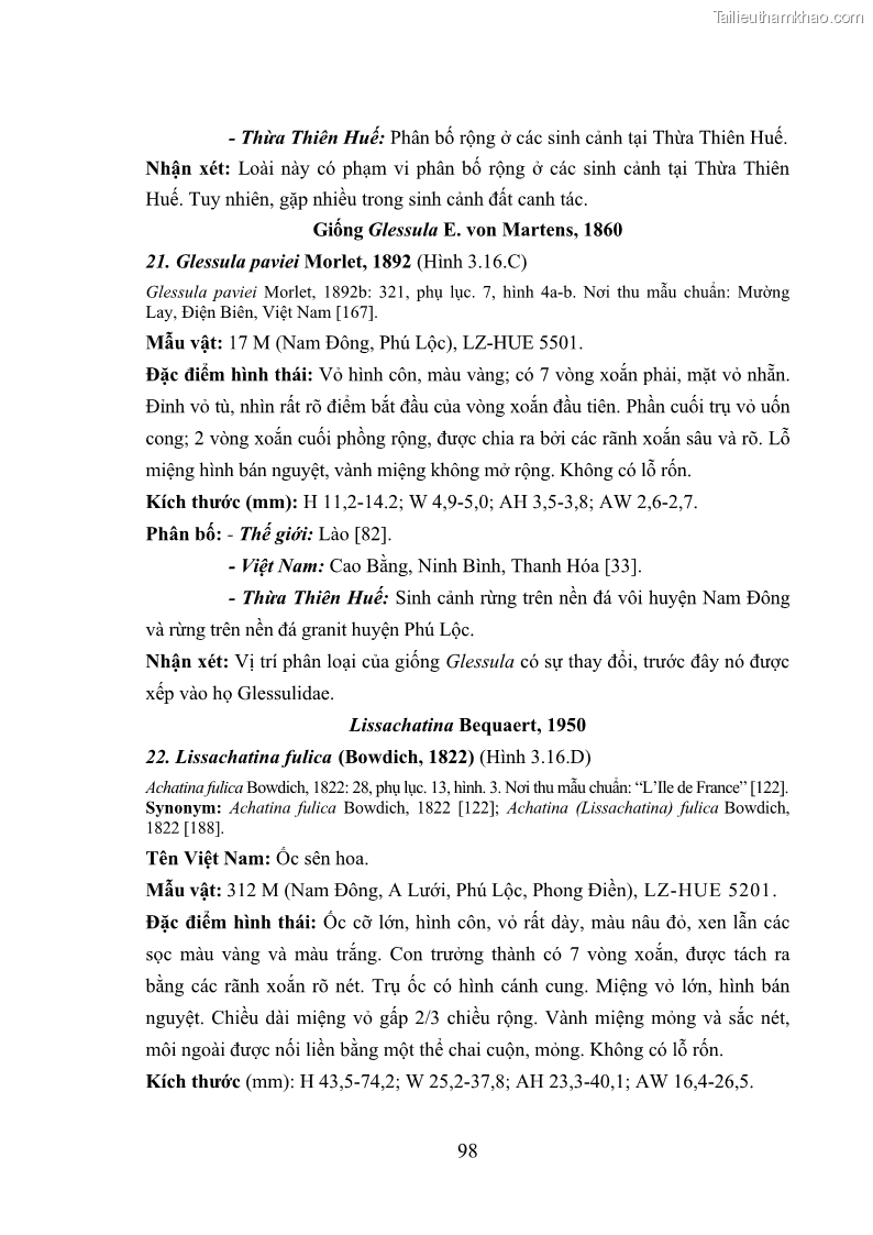 Luận án tiến sĩ sinh học Khu hệ Thân mềm Chân bụng Mollusca: Gastropoda ở nước ngọt và trên cạn Thừa Thiên Huế - 10 Trang 111