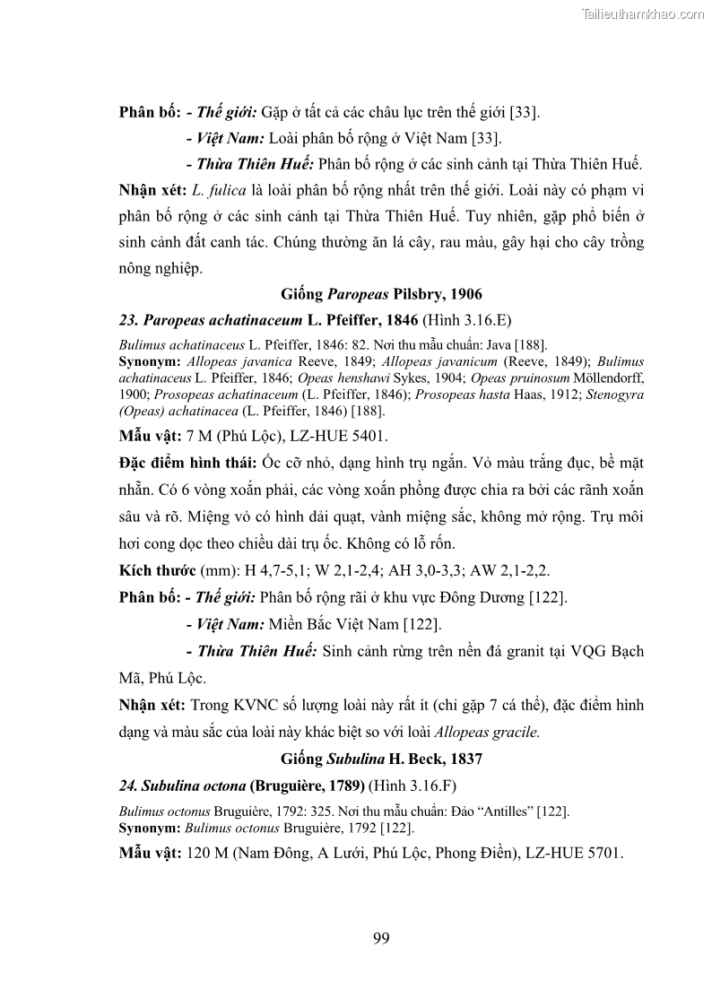 Luận án tiến sĩ sinh học Khu hệ Thân mềm Chân bụng Mollusca: Gastropoda ở nước ngọt và trên cạn Thừa Thiên Huế - 10 Trang 112