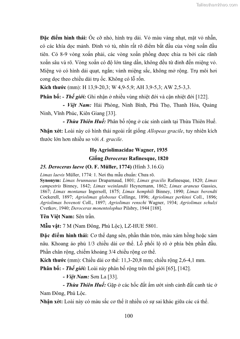 Luận án tiến sĩ sinh học Khu hệ Thân mềm Chân bụng Mollusca: Gastropoda ở nước ngọt và trên cạn Thừa Thiên Huế - 10 Trang 113