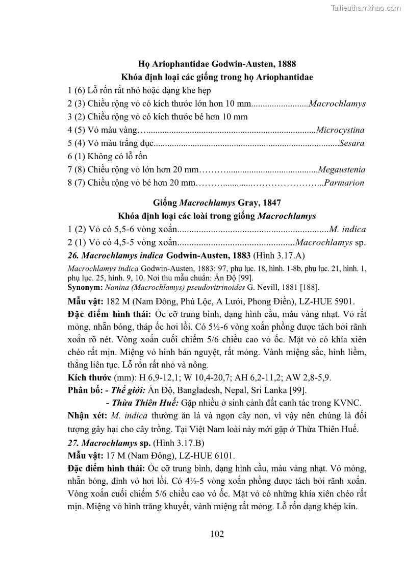 Luận án tiến sĩ sinh học Khu hệ Thân mềm Chân bụng Mollusca: Gastropoda ở nước ngọt và trên cạn Thừa Thiên Huế - 10 Trang 115