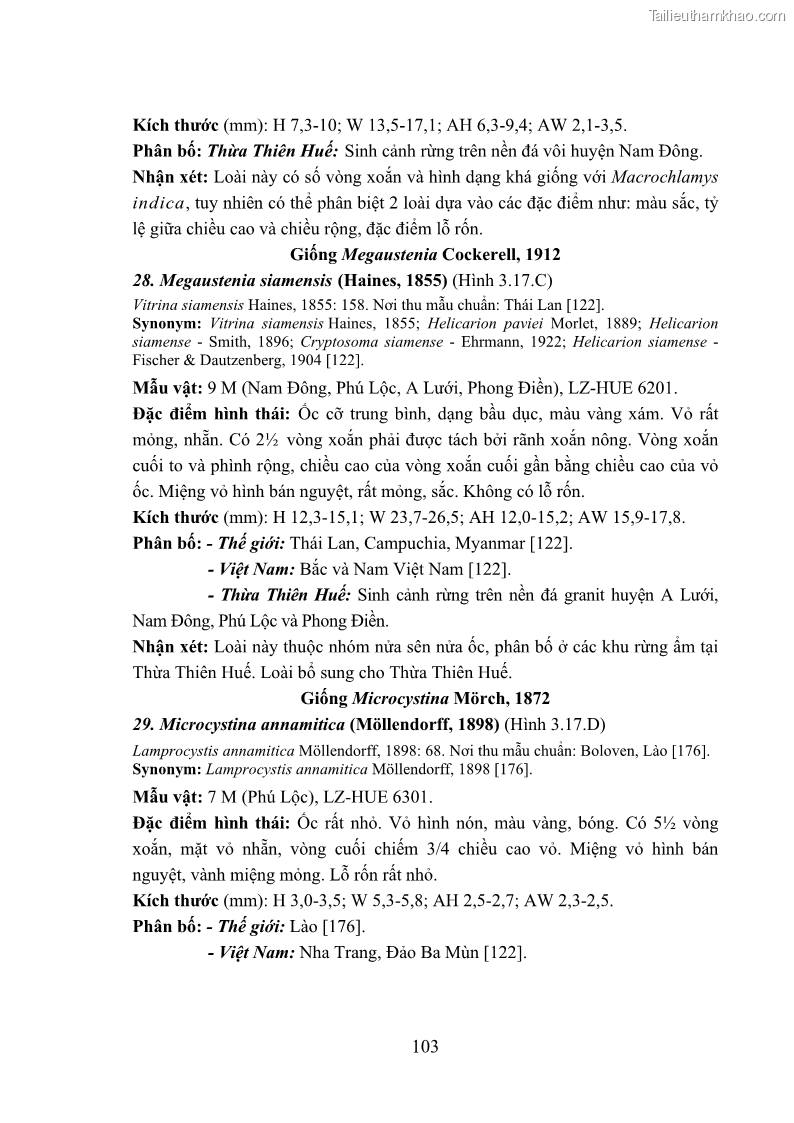Luận án tiến sĩ sinh học Khu hệ Thân mềm Chân bụng Mollusca: Gastropoda ở nước ngọt và trên cạn Thừa Thiên Huế - 10 Trang 116