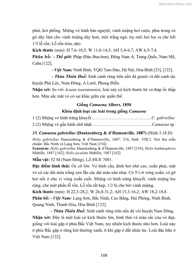 Luận án tiến sĩ sinh học Khu hệ Thân mềm Chân bụng Mollusca: Gastropoda ở nước ngọt và trên cạn Thừa Thiên Huế - 11 Trang 121