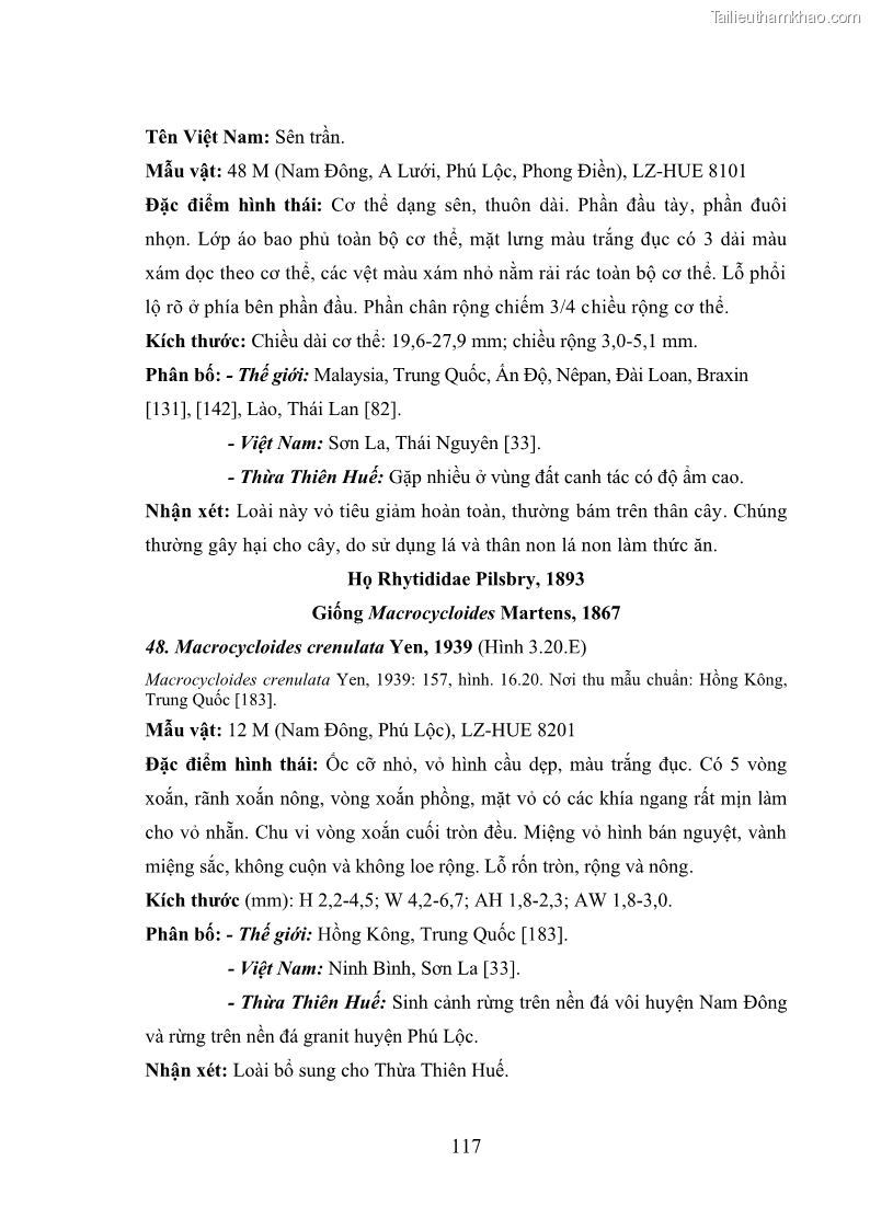 Luận án tiến sĩ sinh học Khu hệ Thân mềm Chân bụng Mollusca: Gastropoda ở nước ngọt và trên cạn Thừa Thiên Huế - 11 Trang 130