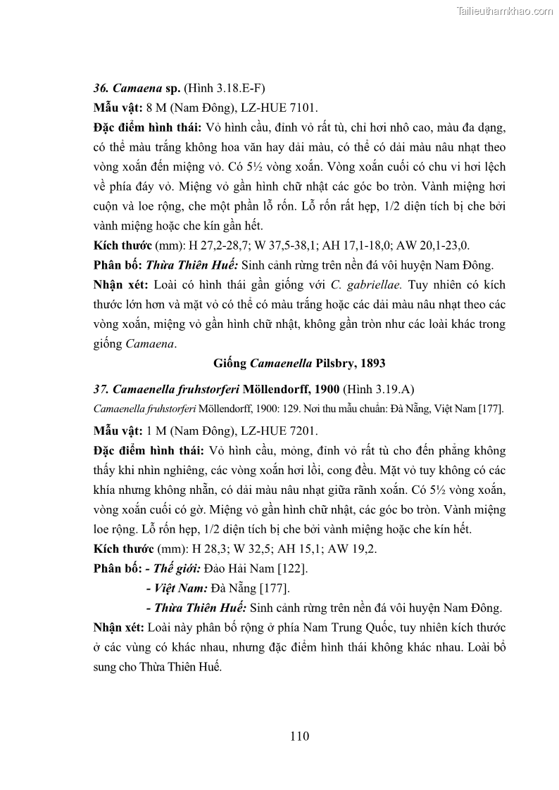 Luận án tiến sĩ sinh học Khu hệ Thân mềm Chân bụng Mollusca: Gastropoda ở nước ngọt và trên cạn Thừa Thiên Huế - 11 Trang 123