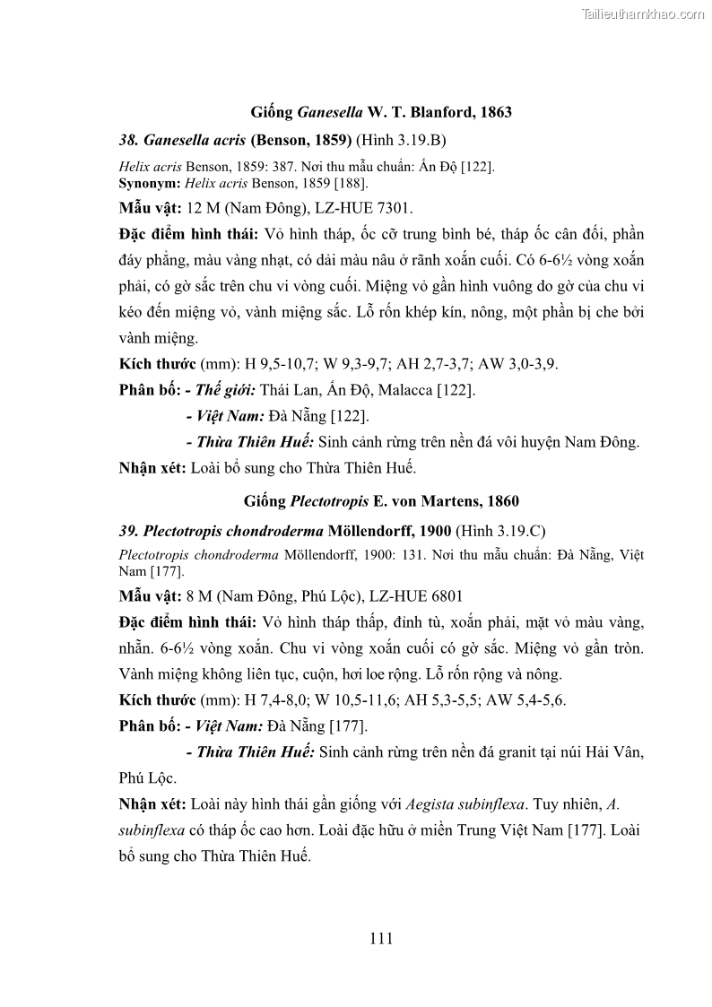 Luận án tiến sĩ sinh học Khu hệ Thân mềm Chân bụng Mollusca: Gastropoda ở nước ngọt và trên cạn Thừa Thiên Huế - 11 Trang 124